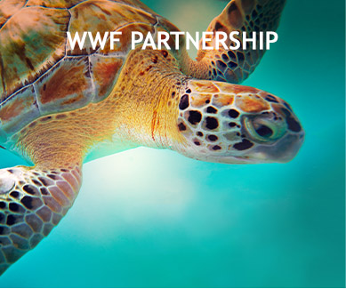 WWF PARTNERSHIP